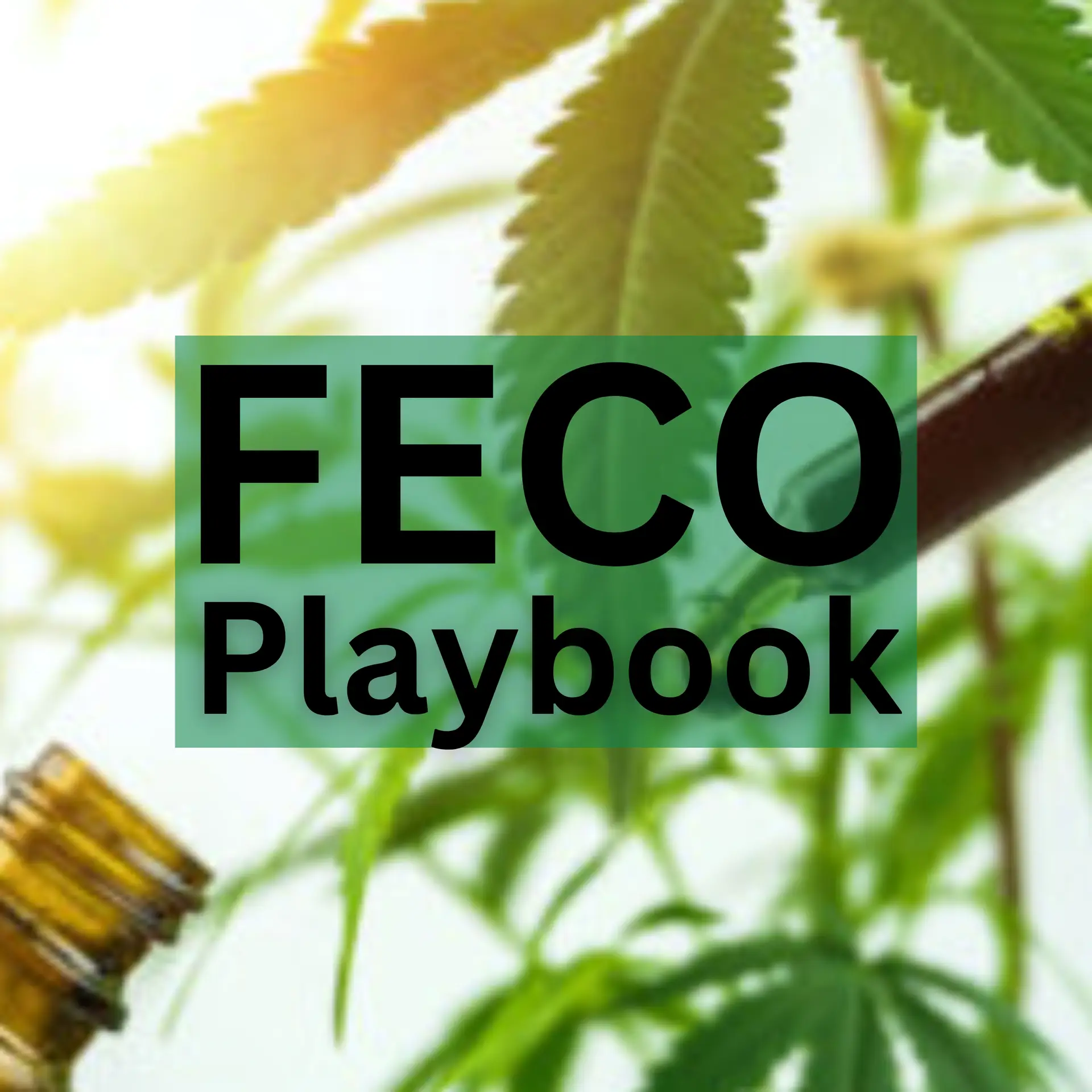 FECO Playbook graphic with cannabis plant in the background