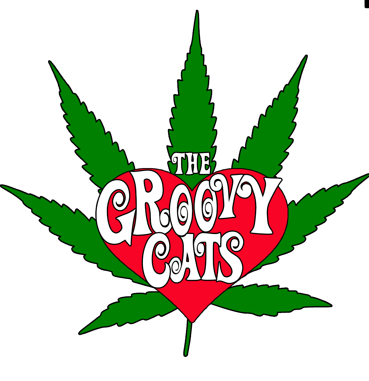 The Groovy Cats logo on a transparent background