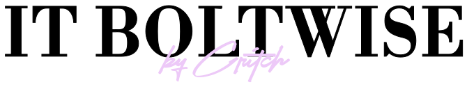 IT Boltwise - logo