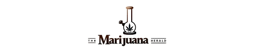 The Marijuana Herald - Newsbreak logo