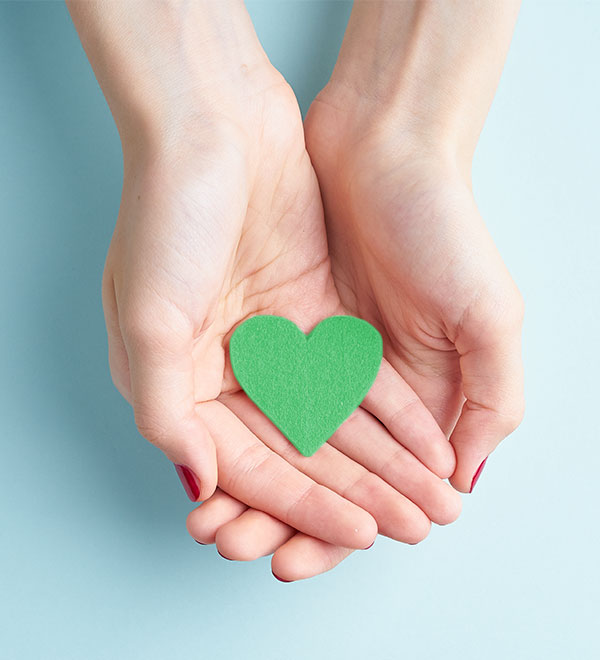 female hands holding a paper green heart